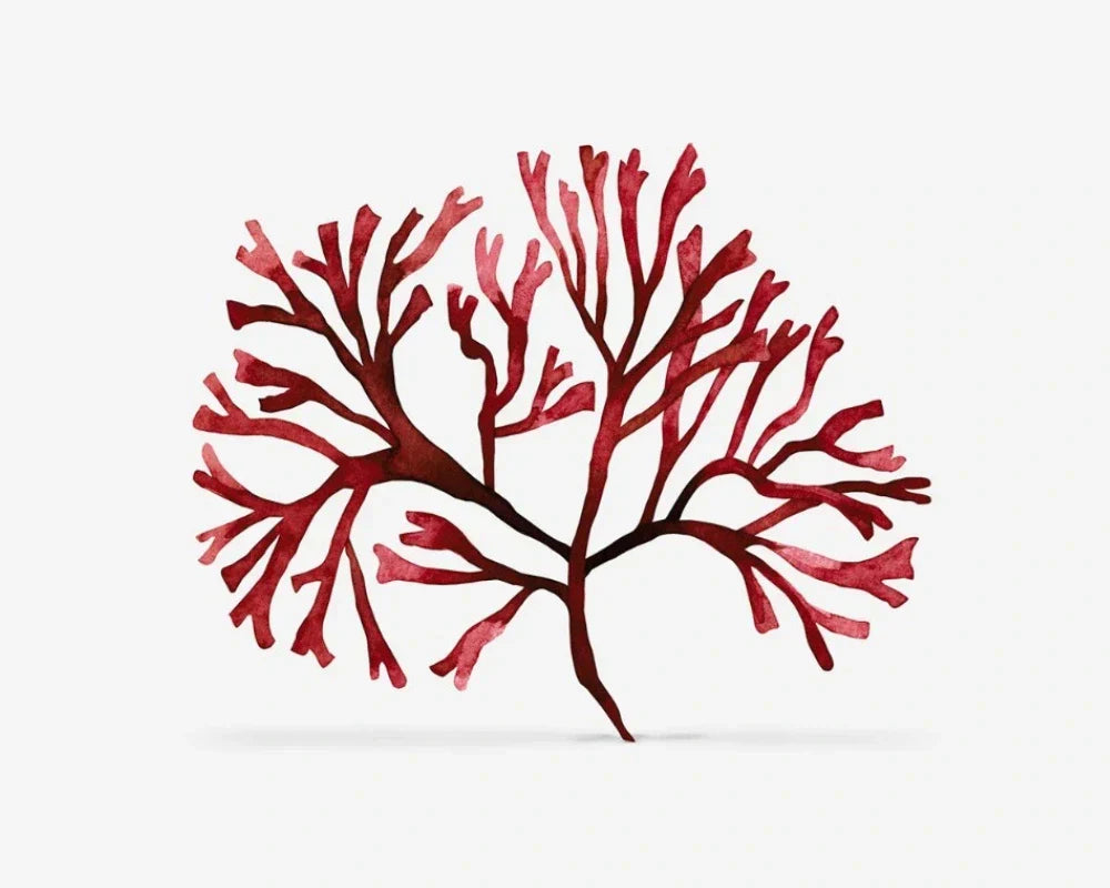 fe368a7a4c08edab5c.webp